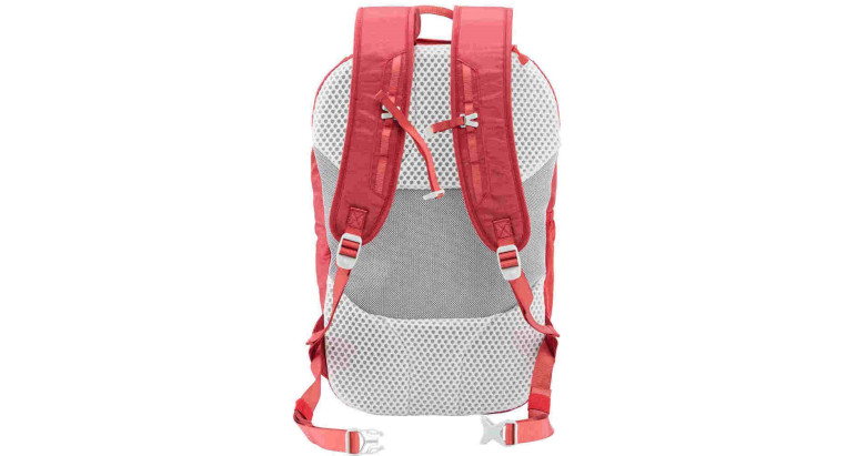 Mochila Altus Cirque 20 espalda 