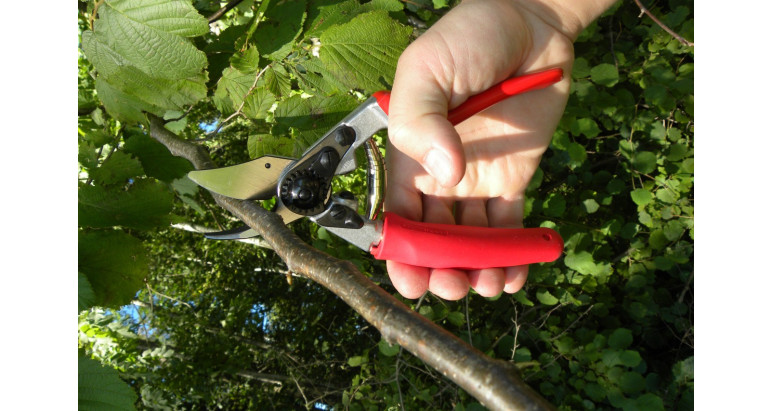 Tijera Felco podadera una mano Felco 12