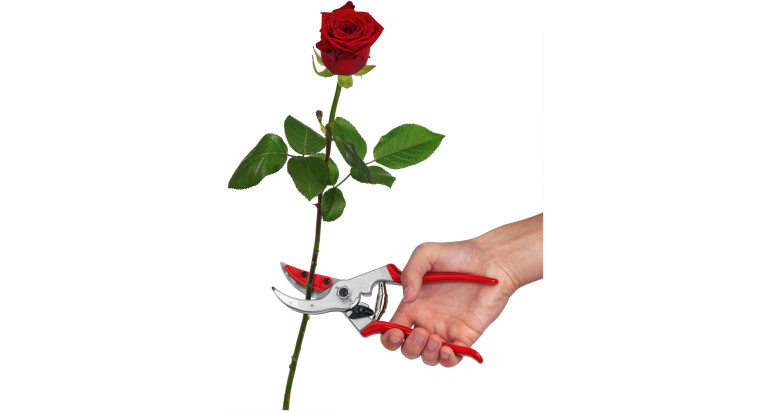 Comprar online tijeras para podar rosas y flores Felco 4 C&H