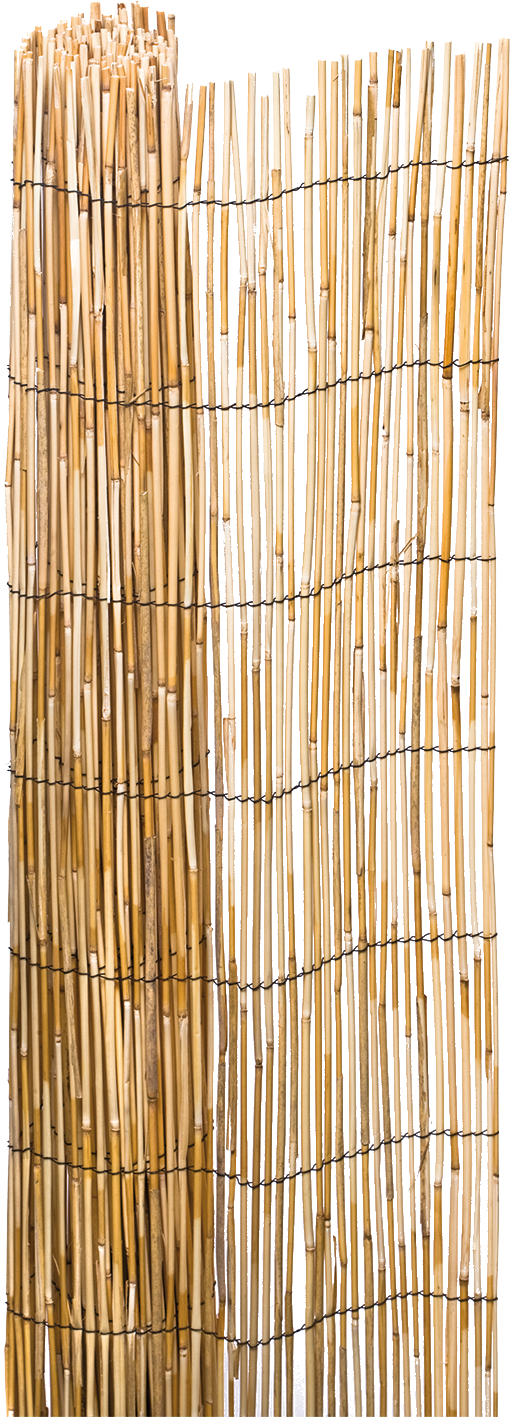 CAÑIZO BAMBU PELADO 1X5 M