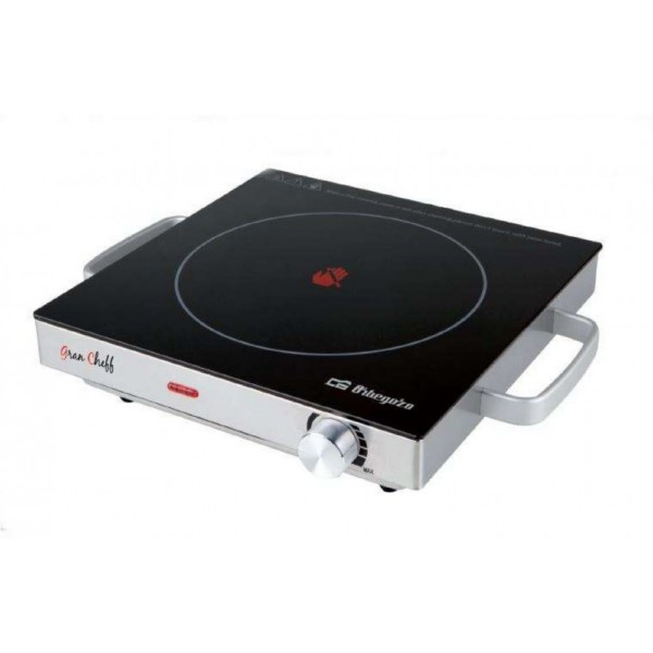 PLACA DE COCINA INDUCCION 2000 W - 1 FUEGO