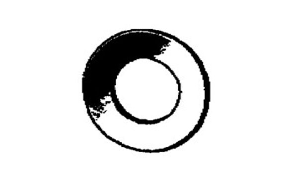 ARANDELA FIJACION DIN125 CINCADA M6 30 UDS