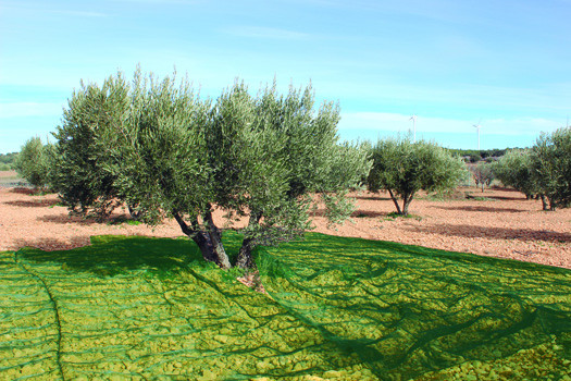 MALLA PARA RECOLECTAR ACEITUNAS VERDE 5X10 M