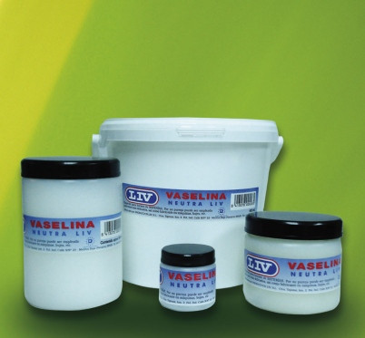 VASELINA LUBRICANTE NEUTRA LIV 450 ML 