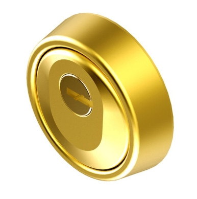 ESCUDO CILINDRO HOPLON Ø 65X24/17MM ALTA SEG. BICAPA ORO LIN 