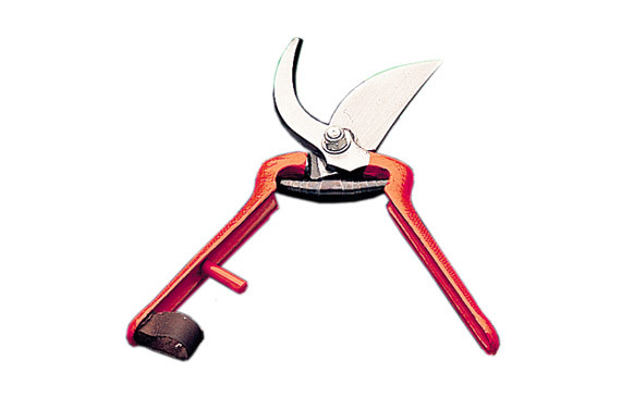 TIJERA VENDIMIA \'CLASICA\' 22 CM