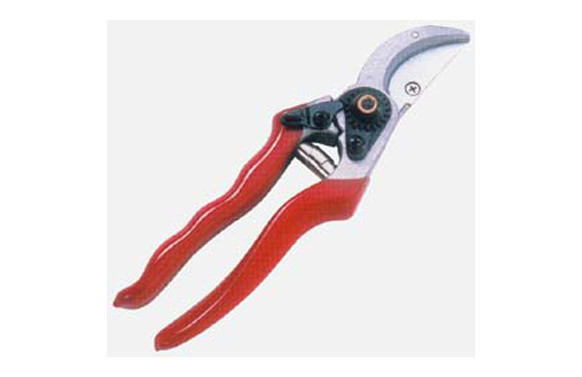 TIJERA PODAR 21 CM