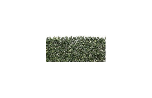 CELOSIA EXTENSIBLE MIMBRE CIPRES 1 X 1,5 M