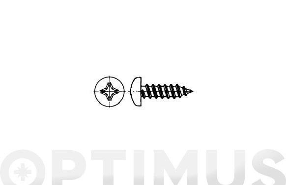 TORNILLO PARKER DIN 7981 C/ALOMADA PHILIPS INOX A2 4,8 X 25 MM 500 UDS
