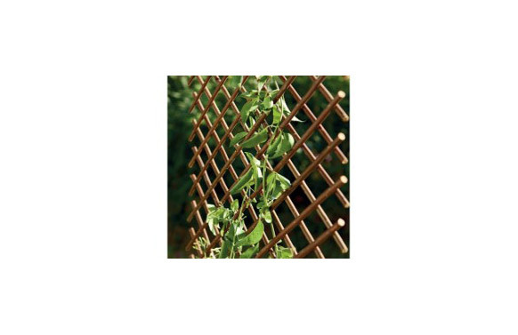 CELOSIA EXTENSIBLE MIMBRE 1 X 2 M