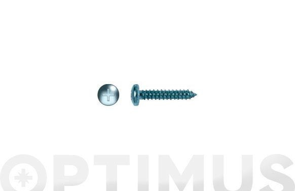 TORNILLO CHAPA 7981 CABEZA ALOMADA CINCADO 5,5 X 120 100UDS