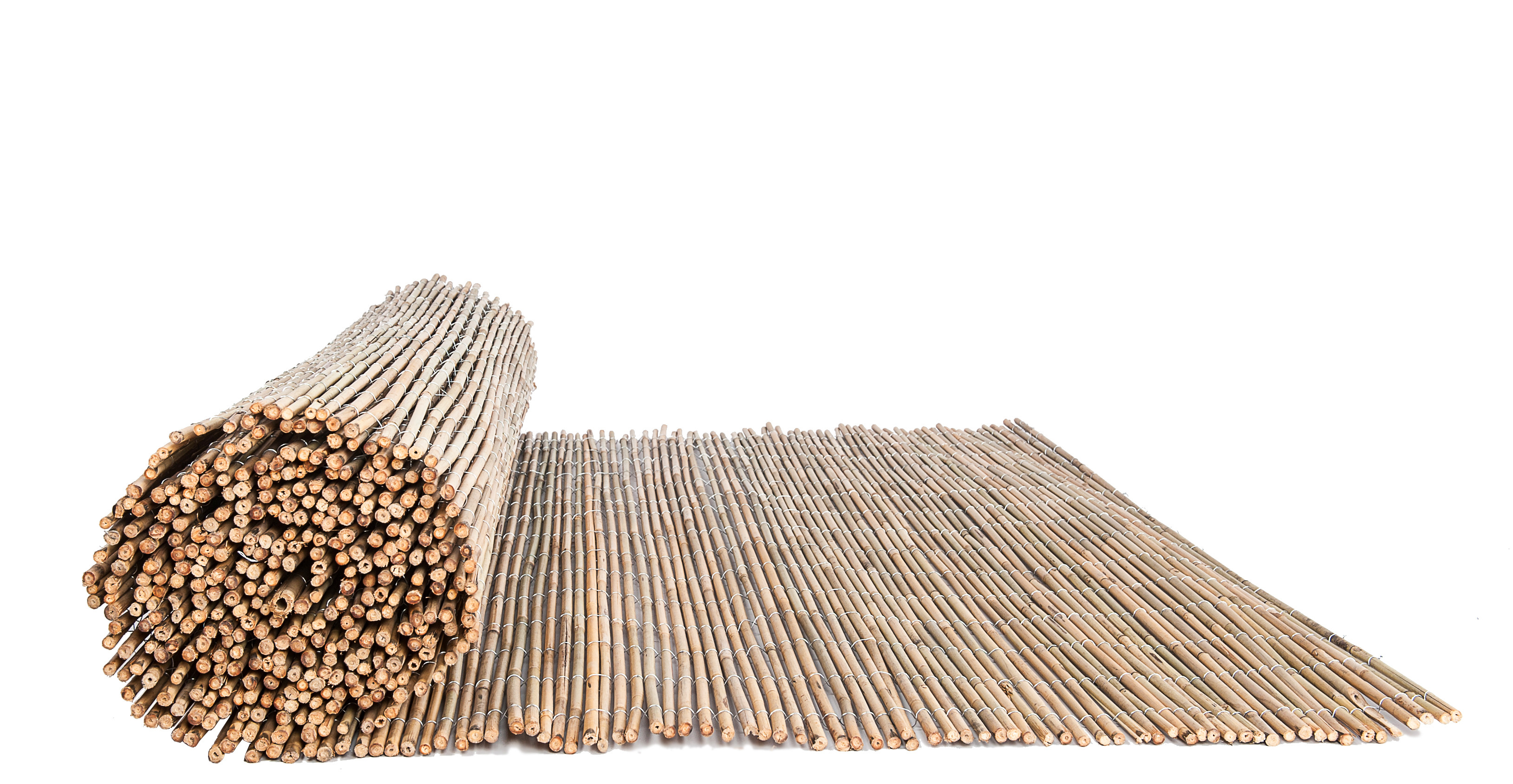 CAÑIZO BAMBU ENTERO NACIONAL 01X05M