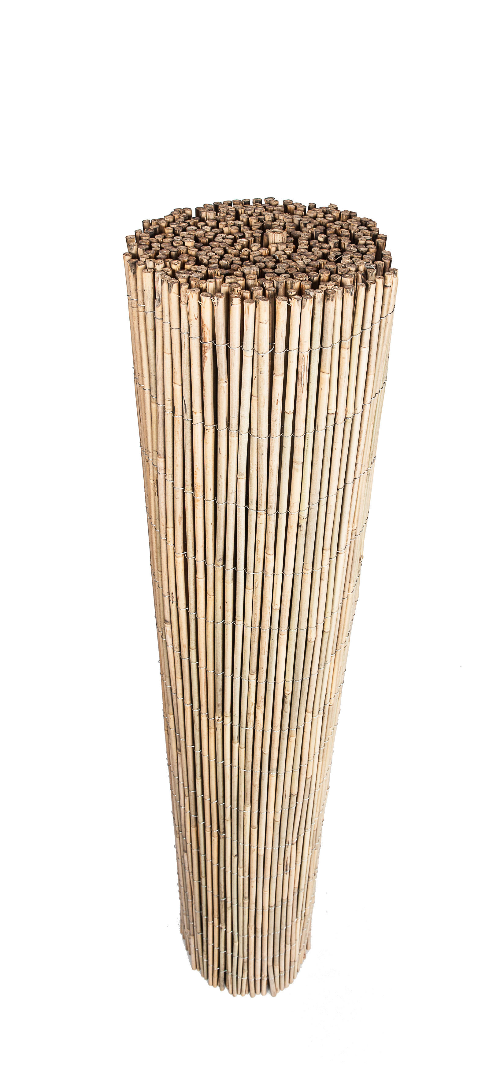 CAÑIZO BAMBU ENTERO NACIONAL 02X05M