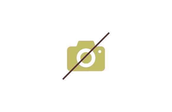 BROCA DIAMANTE Ø14 MM (HEX)