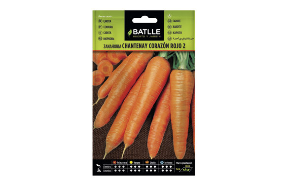 SEMILLAS ZANAHORIA CHANTENAY 
