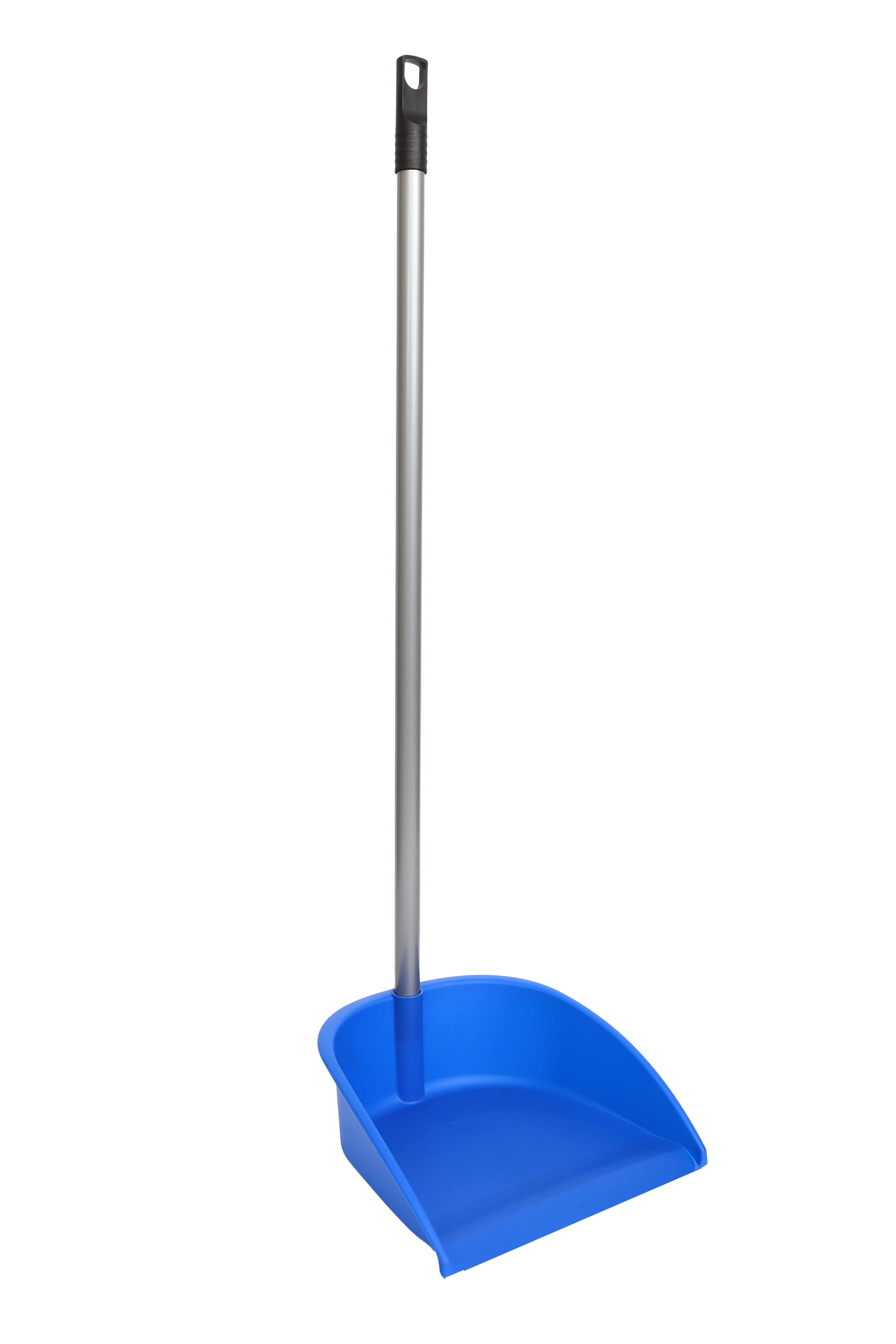 RECOGEDOR CON PALO BASIC AZUL
