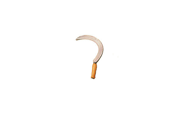 HOZ 44 CM X 3,6 CM