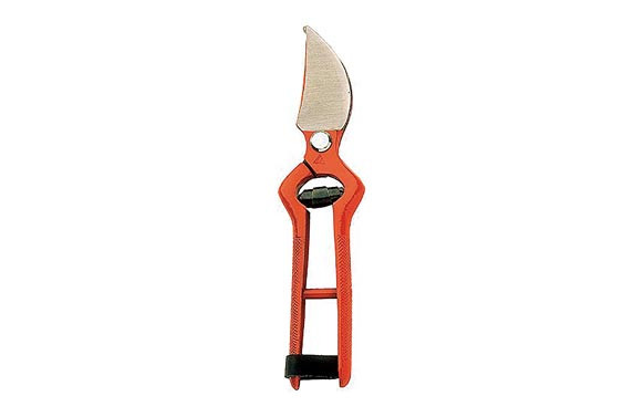 TIJERA PODAR 22 CM 2000048799087