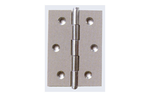 BISAGRA INOX F.CORTO MOD.207 50X40