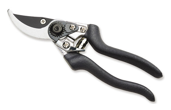 TIJERA PODAR 22CM BIKAIN