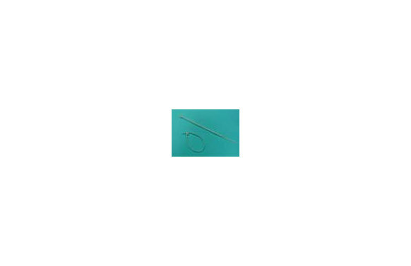 BRIDA BLANCA (50 UND) 2,5X 95 MM