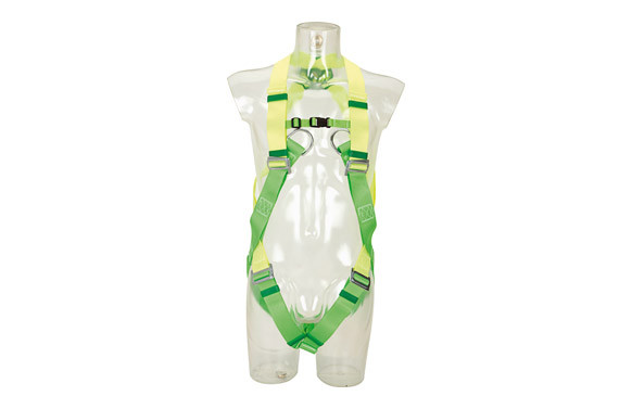 ARNES FRONTAL/DORSAL 27-C