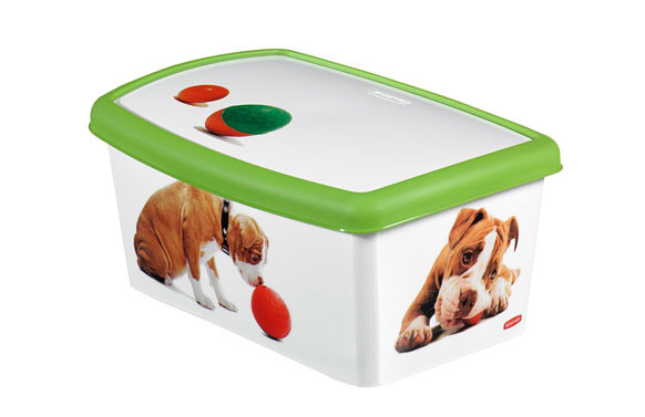 CAJA DECORADA ACCESORIOS PERROS 04706-P77-04
