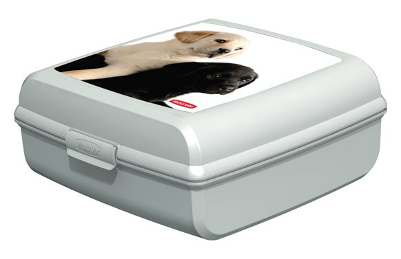 CONTENEDOR SNAP BOX \"L\" PERROS 02273-P74-01