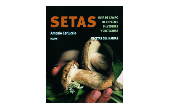 LIBRO SETAS GUIA DE CAMPO + RECETAS