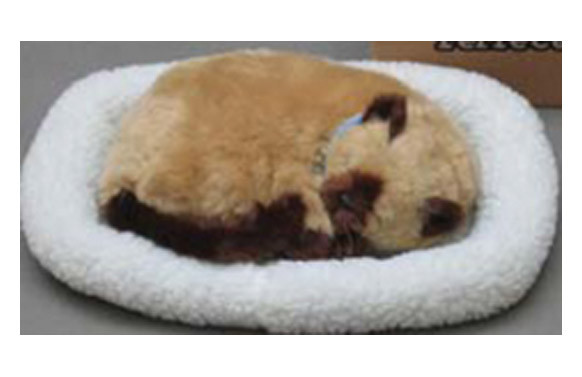 MASCOTA QUE RESPIRA PILMA SIAMESE