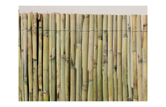 CAÑIZO NATURAL PARTIDO NACIONAL2 X 5 M 2012810003001