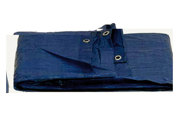 TOLDO POLIETILENO STANDARD 120GR 6 X10 M AZUL