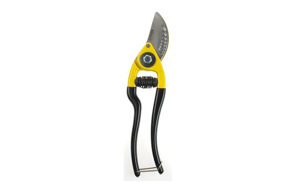 TIJERA PODAR 22 CM  IRONSIDE