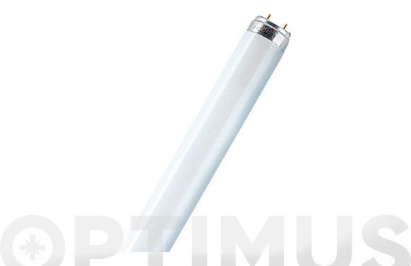 FLUORESCENTE TRIFOSFORO L 36W/865