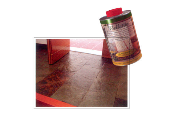 PROTECTOR ANTIMANCHAS CON EFECTO MOJADOBELLATRIX 1L
