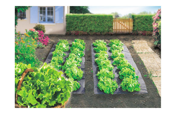 PLASTICO ANTIHIERBAS TERRAFILM 1,4X10 MT -NEGRO
