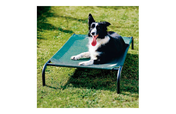 CAMA MASCOTA \'M\' VERDE 110X65X20CM HASTA 36KG