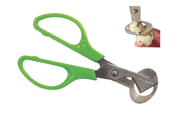 TIJERA PARA ABRIR HUEVOS CODORNIZ