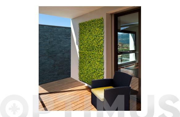 JARDIN VERTICAL BUXUS1 X 1 M