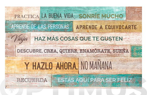 ALFOMBRA VINILICA CROMA 45X75 CMTXT SONRIE
