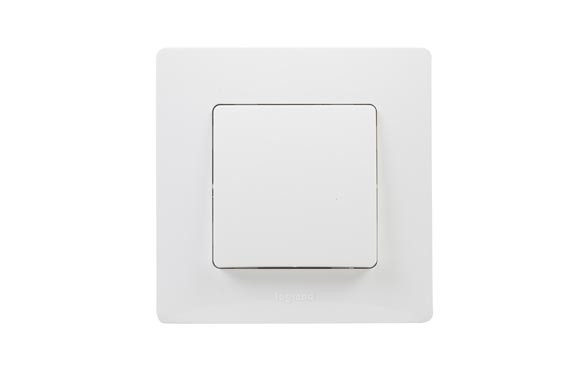 CRUZAMIENTO BLANCONILOE