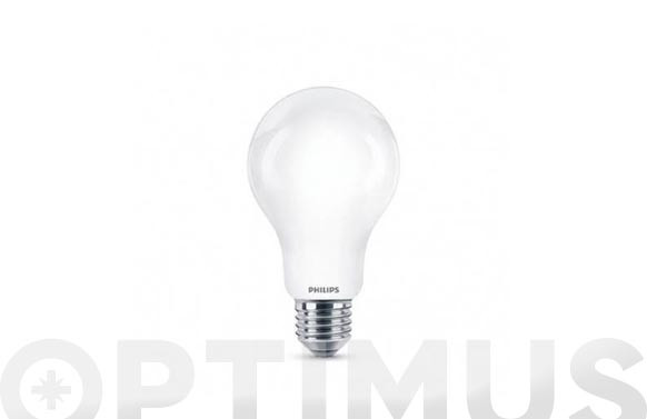 LAMPARA LED CLASSIC A67 E27 120W FRIA