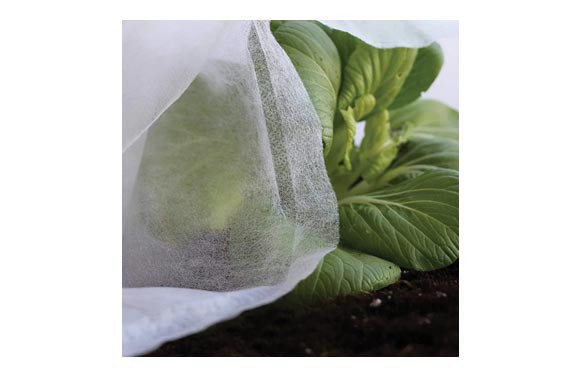 TELA PROTECCION CULTIVO 30 GR 2 X 10 M