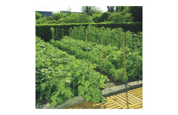 MALLA ENTUTORAR TRELLINET BOP35 2 X 10 M