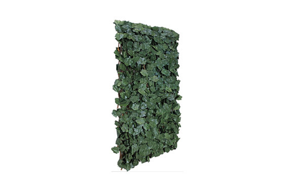 CELOSIA EXTENSIBLE MIMBRE HIEDRA 1 X 1,5 M