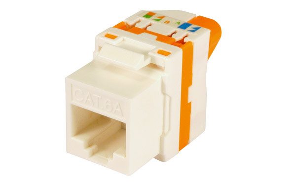 CONECT.RJ45 UTP CAT 6A HEM.PALOMILLA CAJA10 