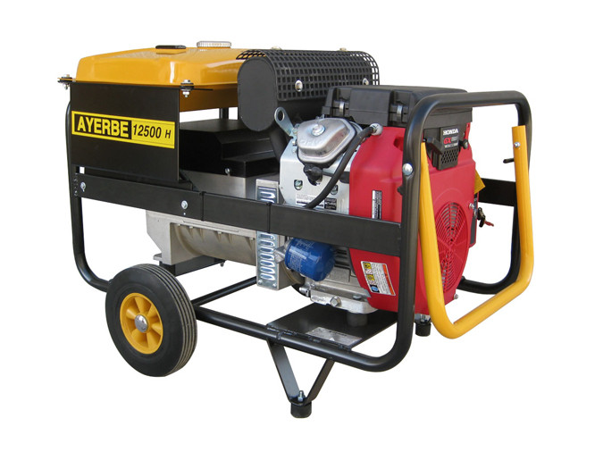 Generador Ayerbe 12500 H TX E