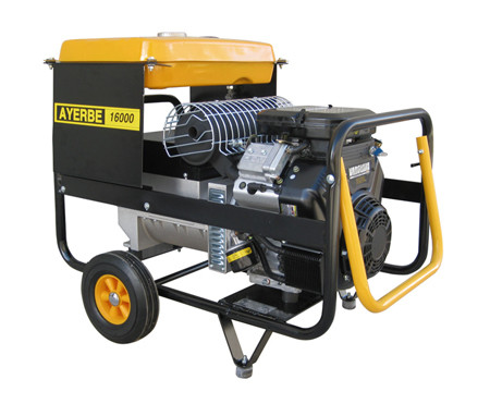 GENERADOR AYERBE 16000 V (23 CV) 5418000