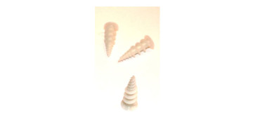 NEOPROCONECTA NIVEL OCT25 - TACO PARED SECA 100 PZ 10X35MM 100 UDS