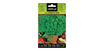 Plantas y cuidado de las plantas - SEMILLAS PEREJIL GIGANTE AROMATICA 